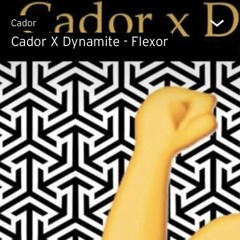 Cador X Dynamite - Flexor