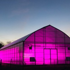 dont waste my time (prod. by Tape$)