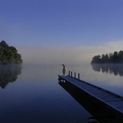 Torso(stalk)love - HERMES