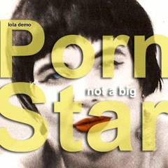 Not A Big Porn Star album