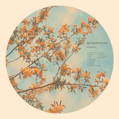 springtide bumps [full beat tape]