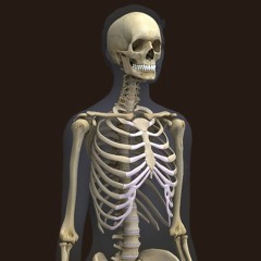 A$AP Rocky - Pretty Guy