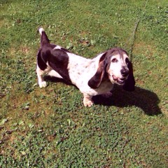 7th Grade Heartthrob