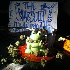 ZRo - Doin just fine