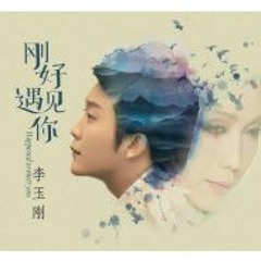 刚好遇见你 - 李玉刚
