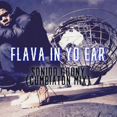 Flava In Yo Ear - Sonido Goony (Cumbiaton Mix)