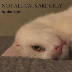 Not All Cats Are Grey (Mixtape)