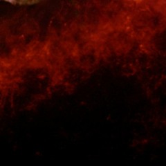 Flextronic - Ego (unsigned titel)