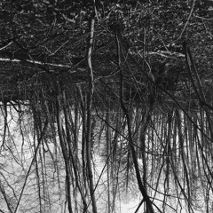 Kadent - Wenn es kalt durch Wald und Flur strich