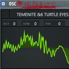 Temeneit & Horse eyes - HiGHSCORE Remacke
