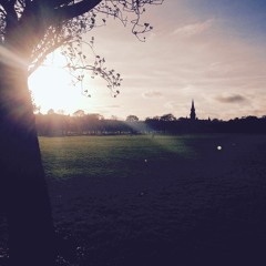 Last Ray Of Sunshine