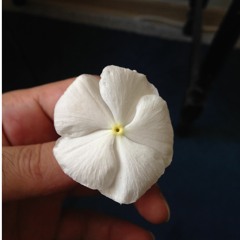 Minoo Javan-Hey Yar Hey Yar