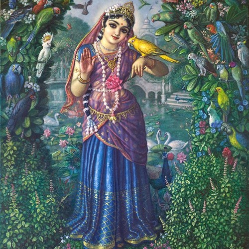 Tulasi A Amada de Krishna