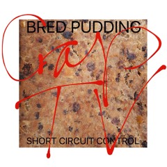 CRAP TV by Bred Pudding