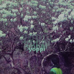 time capsule [full album]