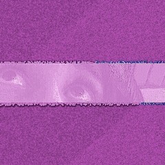 Urraca en la montaña.