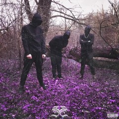 SHDW2 - Amg