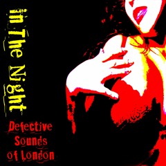 Defective Sounds of London - In The Night