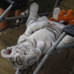 SERPO & DJ BOOR - Поединок