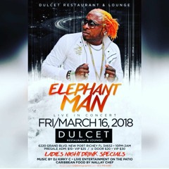 ELEPHANT MAN AND POISON DART SOUND 3-16-18 @ THE DULCET NEW PORT RICHEY