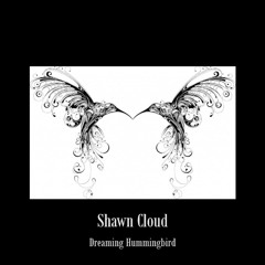 Dreaming Hummingbird