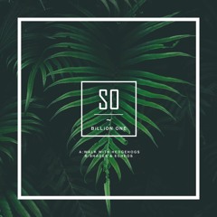 BiLLiON ONE - Shades & Echeos