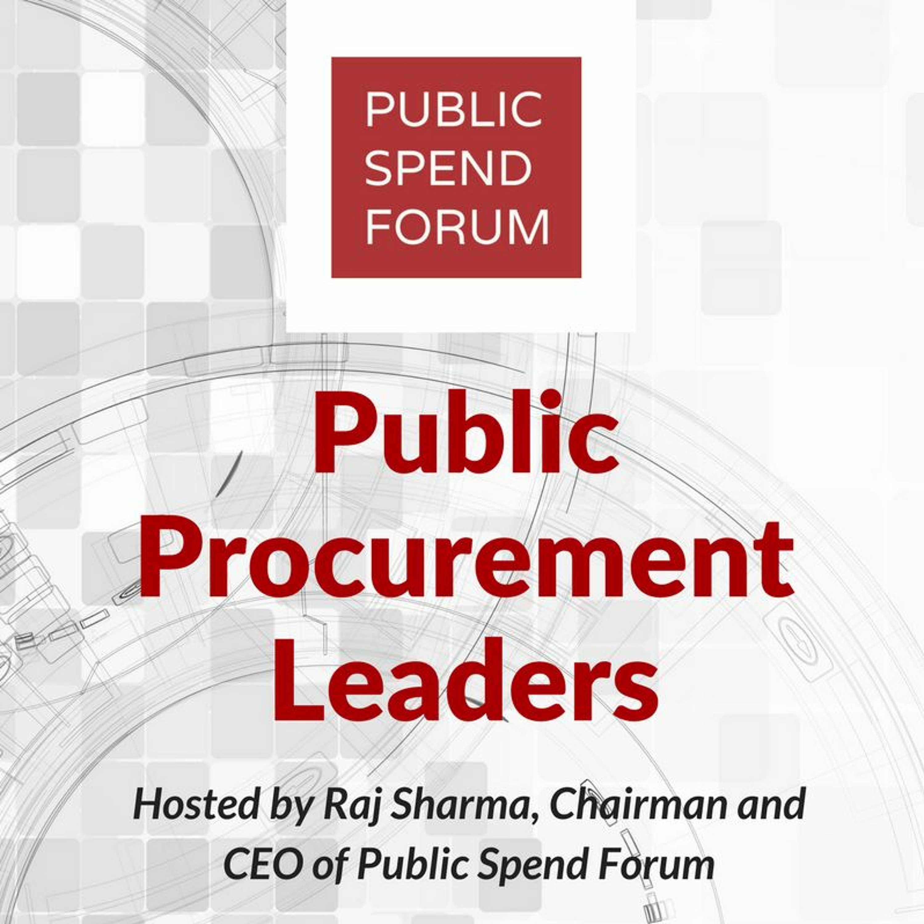The Public Procurement Leaders Podcast with Danielle Hinz