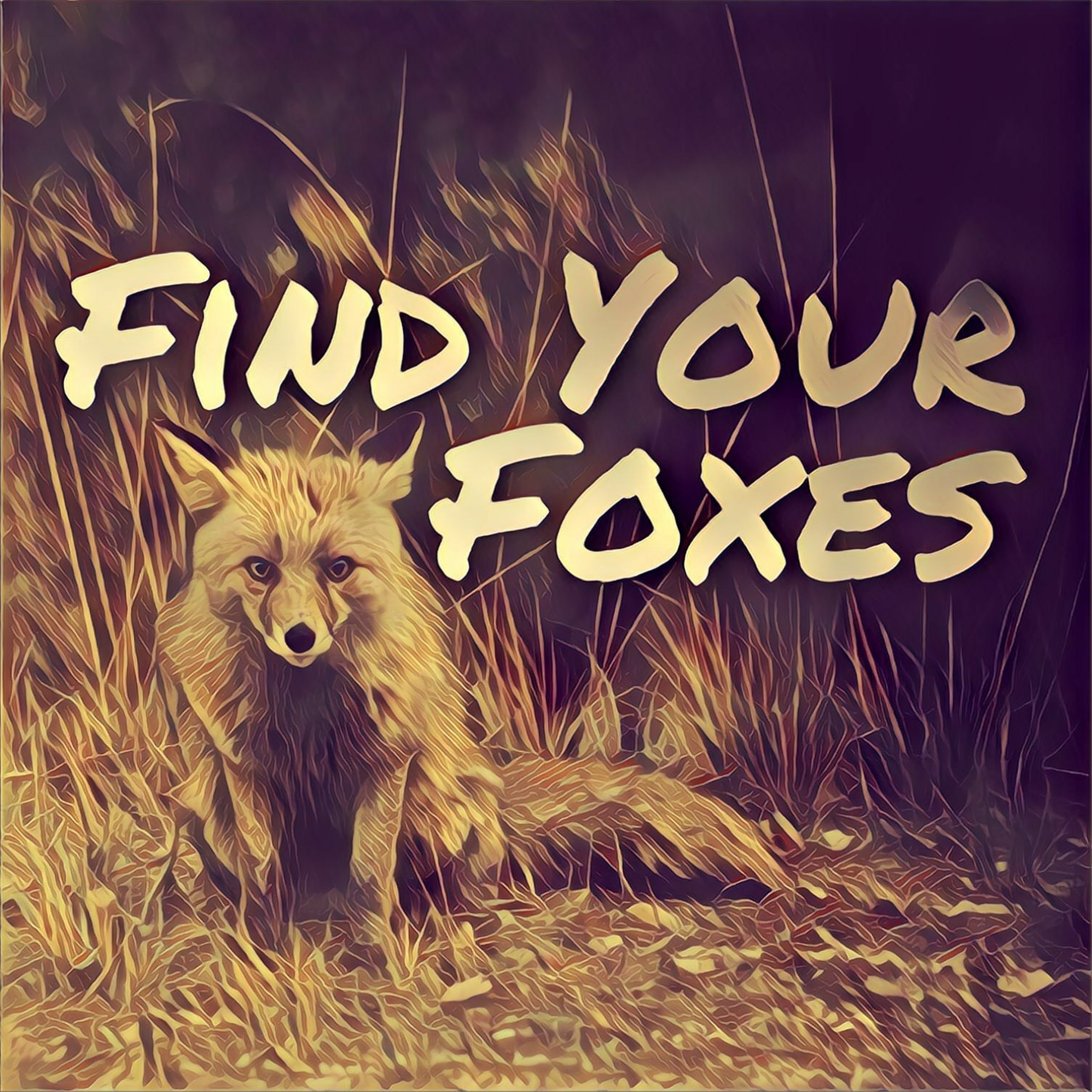3/18/18 AM - Find Your Foxes episode artwork