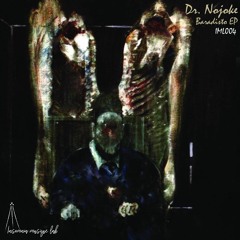 Dr.Nojoke - Baradisto (Original Mix)