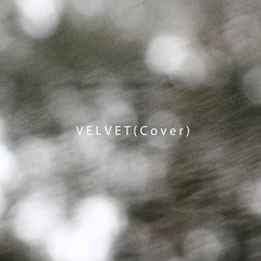 VELVET (Nav Katzeカバー)