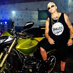 MC Arraia - suave suavão  é o megatron é o megazord    (DJ BL)
