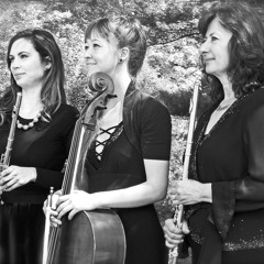 Wagner Wedding March ("Here Comes the Bride") - Hudson View Trio