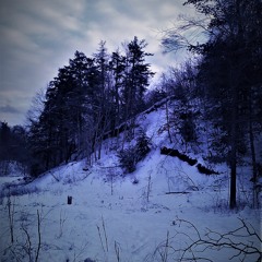 02 Fur Alina, Arvo Part, Michael Gfroerer - Piano