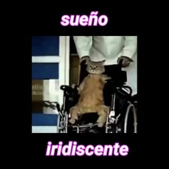 Gato Paralítico  (🔥)