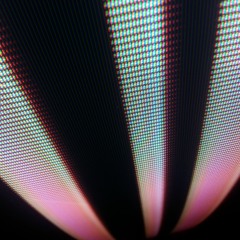 Jammas On The Amazon