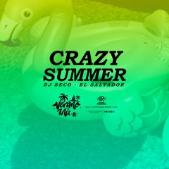 Verano Mix Vol 8 - Crazy Summer Mix DJ Seco I.R.