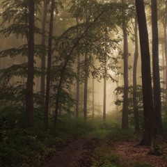 Magna Taurus - Album name here