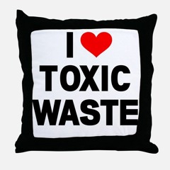 The Sacred Garbage Pillow