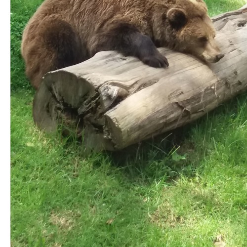 El Espejo Hechizado Del Rey Filiberto By User 41242393 On