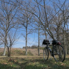 Crows in Ichimiyake