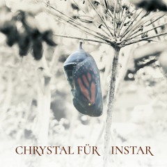 Chrystal Für - Chrysalis