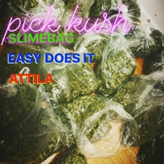 Pick Kush(Kick Push Remix) Ft. C.Note(AKA SlimeBagBoris), AttilaTheGhoul, & EasyDoesIt