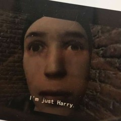 yer a wizard harry