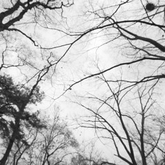 Waltz for Elegant Death