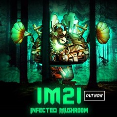 Stream 1. Birthday Remix by InfectedMushroom | Listen online for free on  SoundCloud