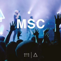 Beautiful // MOSAIC MSC