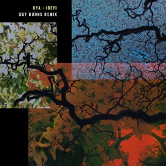 Oya (Guy Burns Remix) - Ibeyi