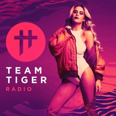 Team Tiger Radio #039 feat. Juicy M