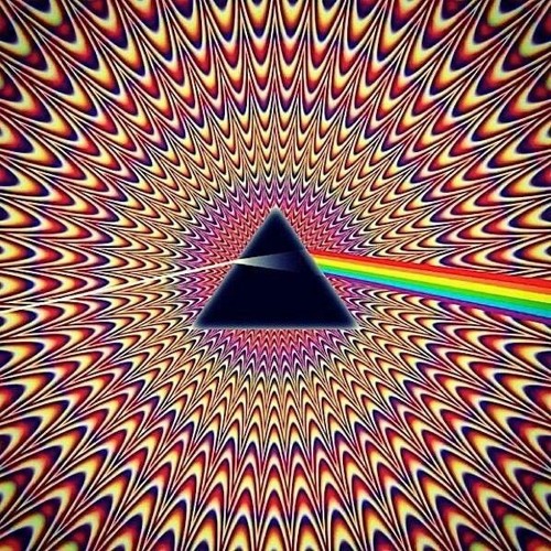TRIP.