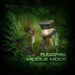 Audiofire & Middle Mode - Night Vision (Original)| out now